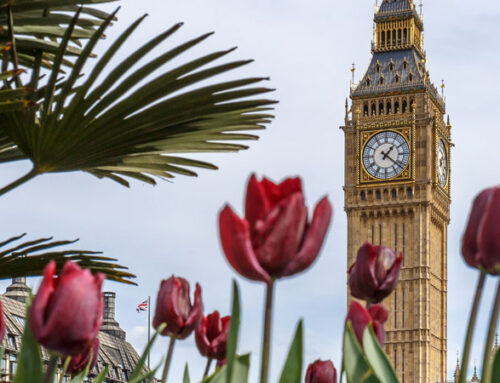 Spring Budget 2024